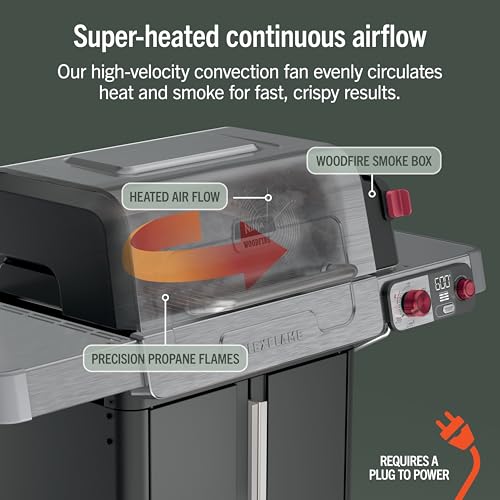 FlexFlame Grill & Smoker (Stainless Steel)