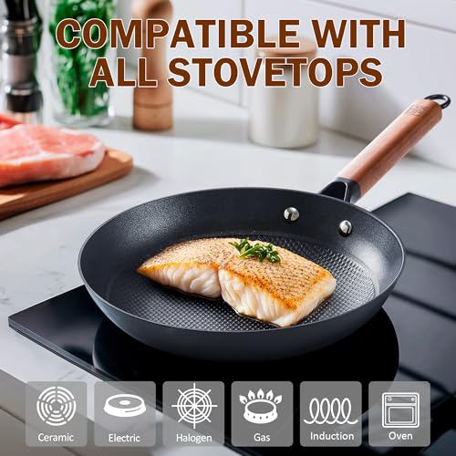 Cast Iron 8 10 Inch Nonstick Skillets (8 and 10-Inch)