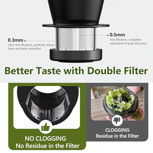 Masticating Juicer Machine 250W (Silver)