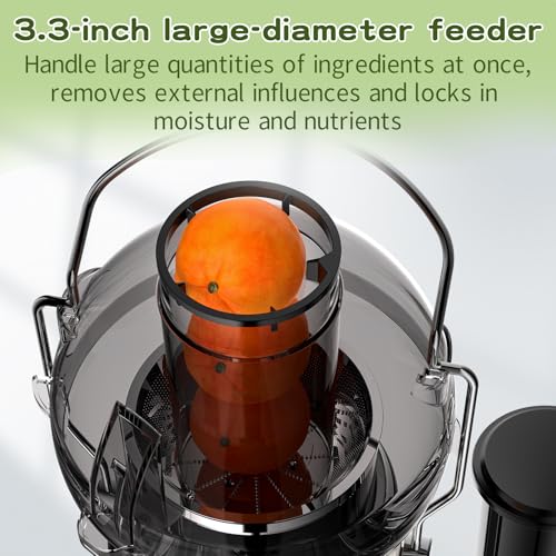 Juicer Maker Vospeed Juicer Machines (Black)