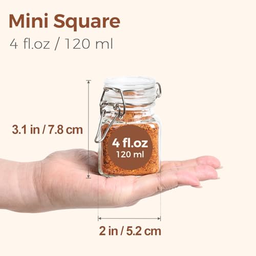 Square Small Glass Spice Jars with Airtight Lids 4 oz 6 Pack Pantry (4 fl oz x 6)