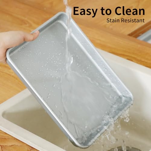 11 Inch Baking Sheet Pans (Silver-11*9*1 inch)