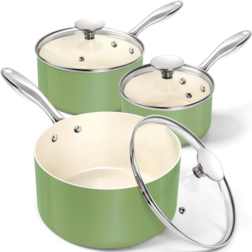 Sauce Pan with Lid (Natural Green / Set of 3 (1, 2, 3 Quarts))