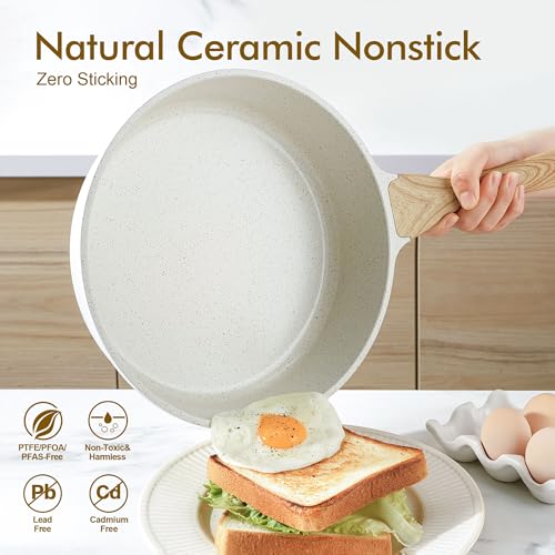Nonstick Ceramic Saute Pan 12 (Ceramic White / 12-inch/5QT)