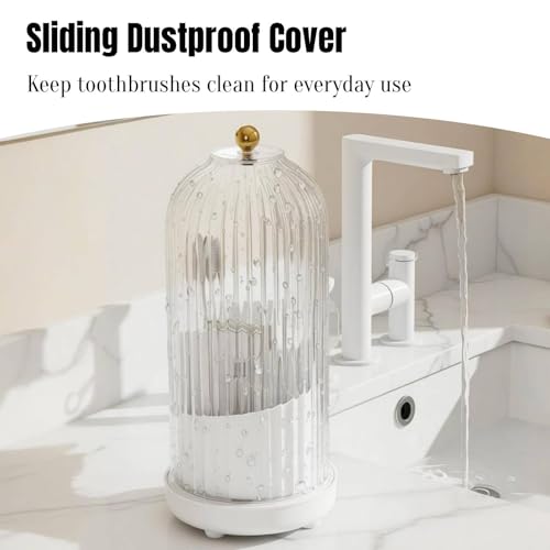 Dustproof Toothbrush Holder Organizer with Drainage (White)