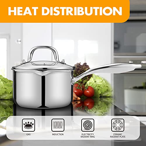 Stainless Steel Saucepan with Glass Lid (2.0 QT)