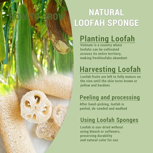 Natural Loofah Kitchen Scrub Pads