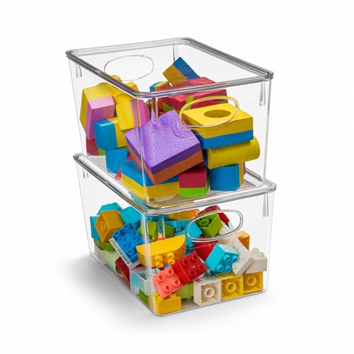 Clear Toy Storage Bins with Lids (Large / 2 Pack)
