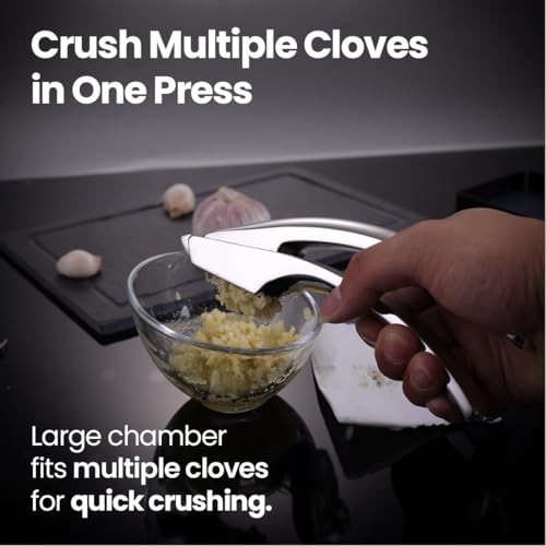 Garlic Press Lifetime Replace (Coarse Mince)