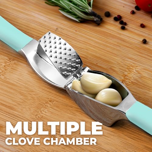 Metal Comfort Grip Garlic Press (Breeze Blue)