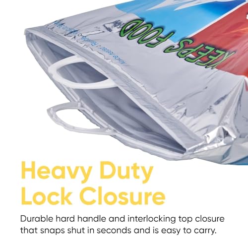Hot and Cold Insulated Bags for Food Delivery (Small (Meal Size) / Silver)