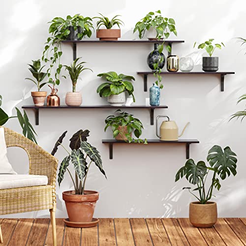 Long Wall Shelves (Espresso / 23.6 Inch)