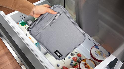 Freezable Classic Lunch Box (Gray Fog)