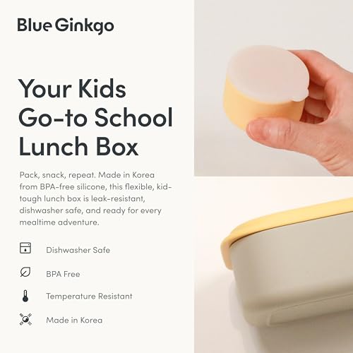 Bento Style Silicone Lunch Box Set (Gray)
