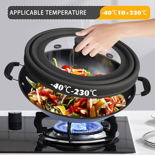 Microwave Splatter Cover (Black / 11.8 inch)