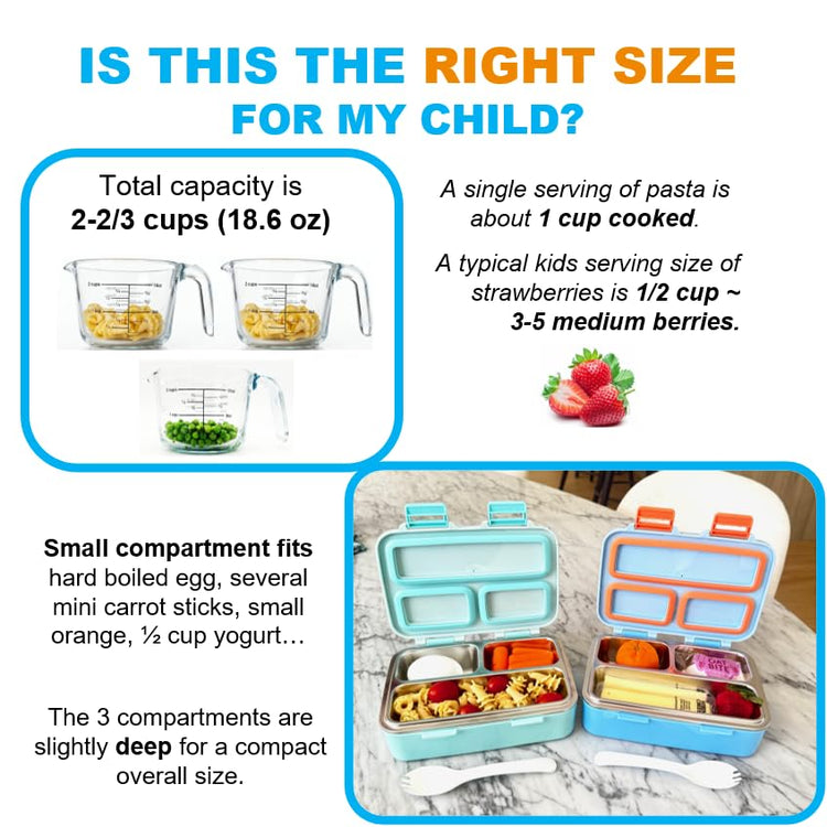 Small Stainless Steel Bento Box Lunch Container (Light Blue)