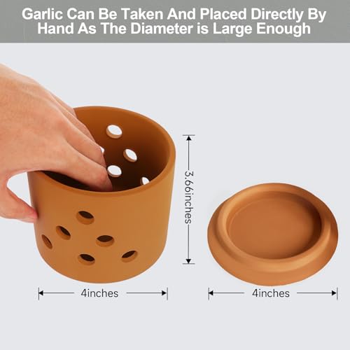 Terracotta Garlic Keeper (Yellow clay)