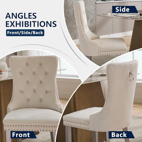 Cream Velvet Dining Chairs Set of 6 (Ivory)