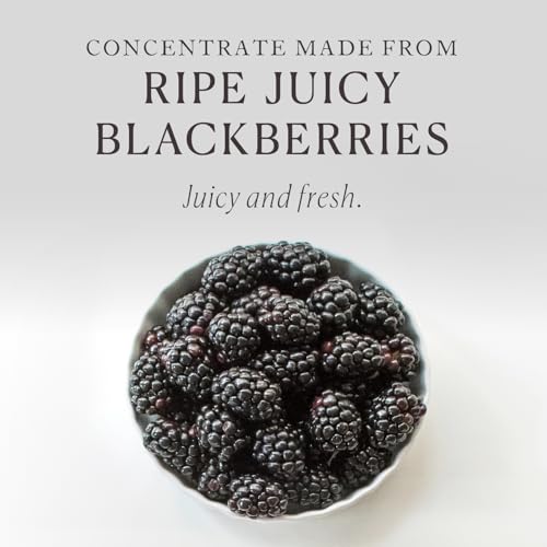 Pure Blackberry Extract for Jams (128 Fl Oz (Pack of 1))
