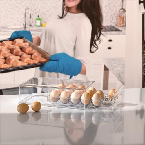 Egg Storage for Refrigerator (Modern)