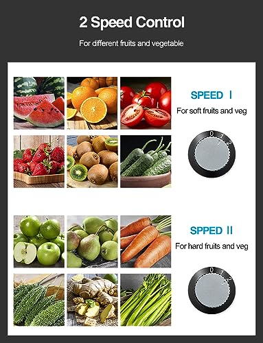 Juicer Machine 800W Centrifugal Juicer with Wide Mouth Feed Chute (800W / Green)