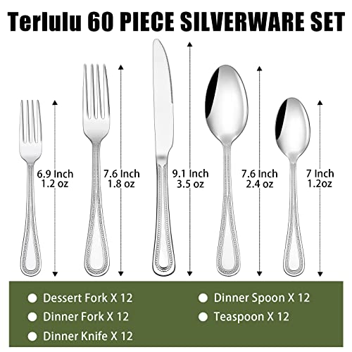60 Piece Silverware Set for 12 (60 Piece)