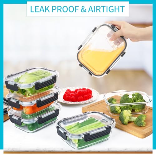 10 Pack Glass Meal Prep Containers (10PACK 22OZ)