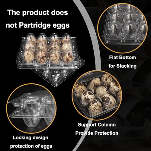200 Pack Quail Egg Cartons (200 Pack Quail Egg Cartons 12 Grids)