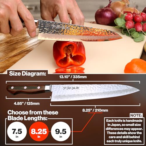VG10 16 Layer Hammered Damascus Gyuto Japanese Chefs Knife (9.5")