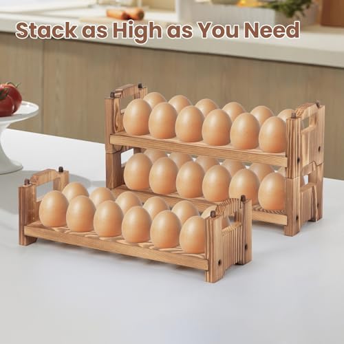 Egg Holder Countertop