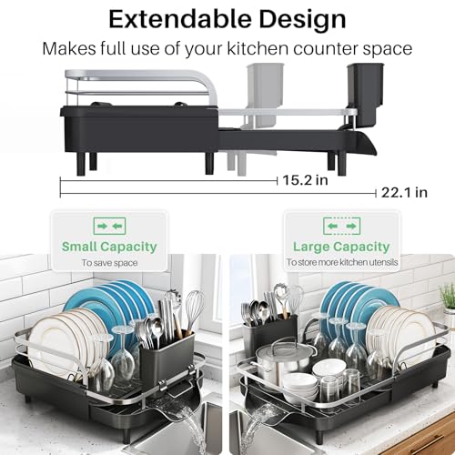 Expandable Dish Drying Rack for Kitchen Counter (Black)