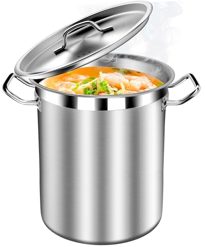 Large Soup Pot with Lid (40 Quarts)