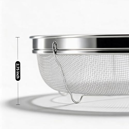 Fine Mesh Strainer for Kitchen (12.2 inch / Flat Shape)